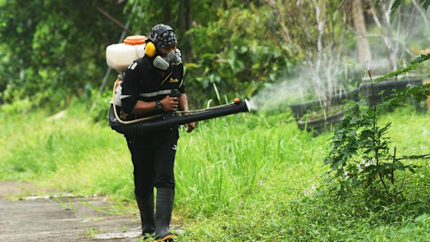 A worker sprays insecticide to fight against dengue fever in Singapore, July 6, 2021.