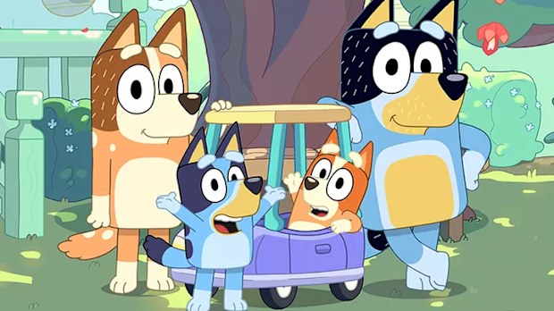 Bluey