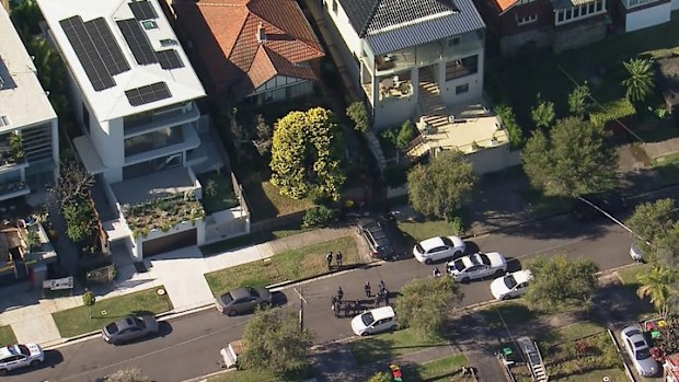 An accused murderer allegedly used a meat cleaver and sword to stab a woman to death in the home they shared in Sydney's Inner West. 
