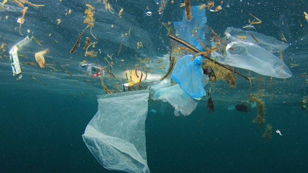 Plastic bags, bottles, straws, cups and other garbage pollute the sea. Underwater photo of trash dumped into sea instead of recycling.