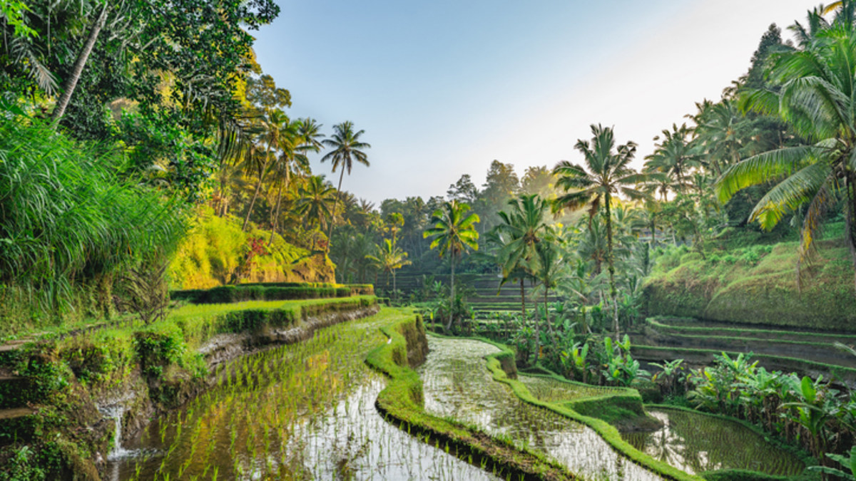 Best travel deals this week: Save big on Bali holidays, plus thousands ...