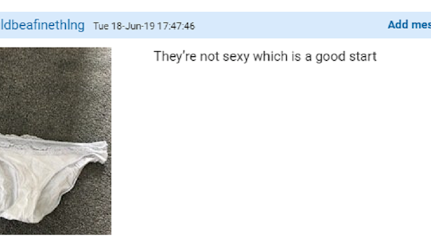 The undies in question.