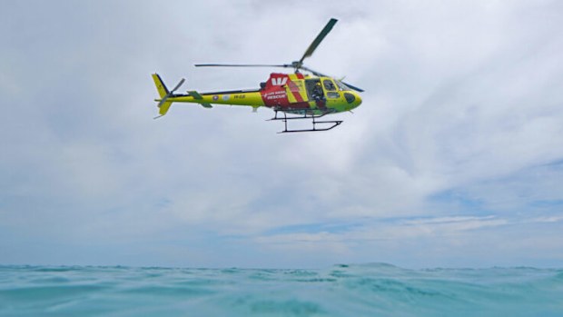 Shark sightings rise by 60 per cent in WA