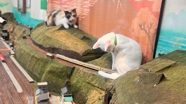 You might never normally visit a cafe run by women dressed as maids, or a restaurant with model trains AND cats like this one 9Travel went to in Osaka, but in Japan, it's worth embracing the culture - strange as it can be.