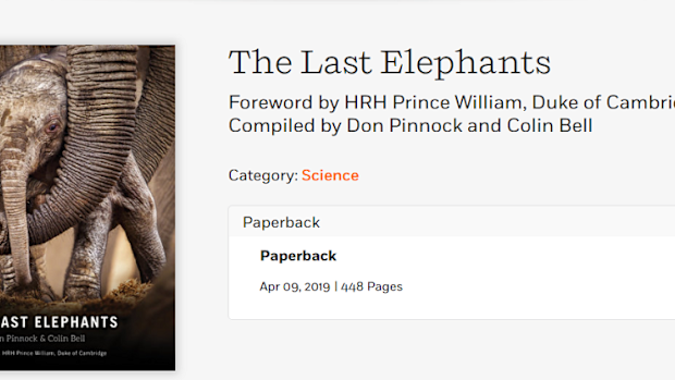 The Last Elephants
