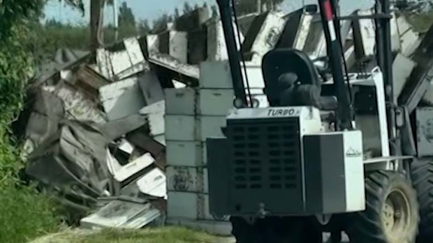 There was a buzz in the air on Friday (local time) in north-western Washington state as about 250 million honeybees escaped a commercial truck that overturned.The truck hauling an estimated 31,751 kilograms of honeybee hives rolled over around 4am close to the Canadian border near Lynden, the Whatcom County Sheriff's Office said in social media posts.