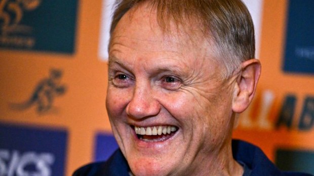 Joe Schmidt speaks to the press.