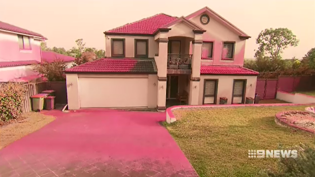 Diksha Anand was emotional watching flames come close to her home near the South Turramurra blaze, but thankfully it was spared.