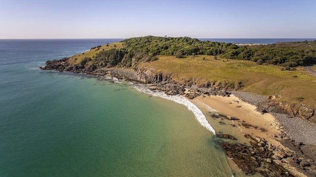 A family spotted the struggling mammal at Goolawah Beach in Crescent Head this morning and tried to help before rescuers arrived.