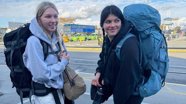 Piper James, 19, had gone for an early-morning swim when her body was found surrounded by a pack of about 10 dingoes near Orchid Beach on Monday. 
