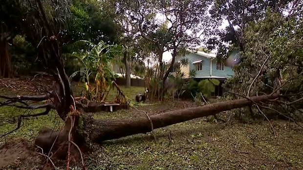 Ex- tropical cyclone Alfred leaves a trail of destruction in its wake