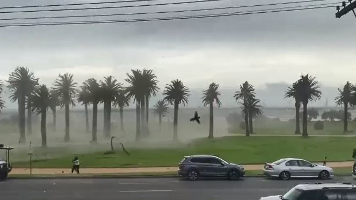 Melbourne weather: Clean-up underway after severe storm rips roofs from ...