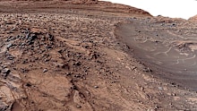 While exploring Gediz Vallis channel in May, Curiosity spied rocks with a pale colour near their edges. These rings, called halos, resemble markings seen on Earth when groundwater leaks into rocks along fractures.