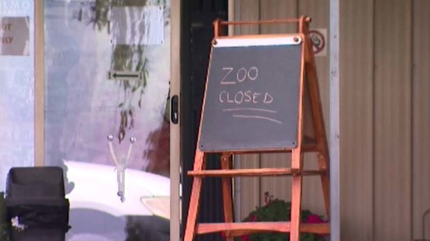 The zoo said the woman, who emergency services say was in her 50s, was watching other keepers in the area home to its carnivores as usual, when she was attacked.