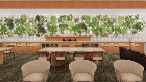 The new Qantas Auckland International Lounge, complete with a 'herb wall'.