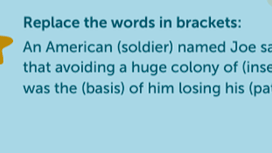 5 - Replace the words in brackets