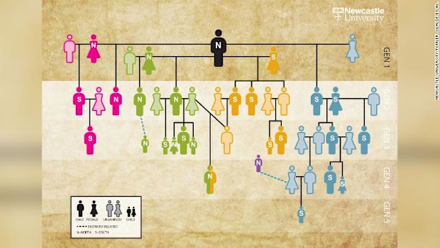 World's oldest family tree reconstructed from Stone Age tomb Hazleton ...
