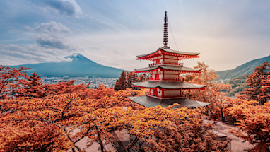 13. Japan
