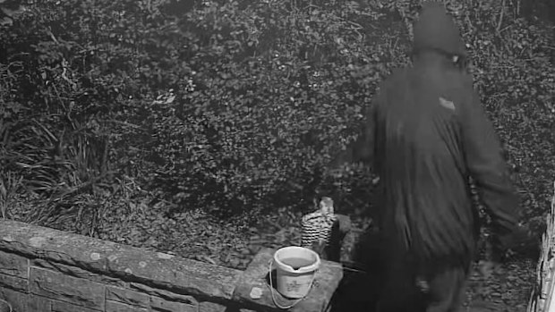 A home invader in the UK who was thwarted by a Home Along-style trap has been jailed for more than three years. Paul Howell tried to break into a Northumberland property at 3am on November 9 last year.