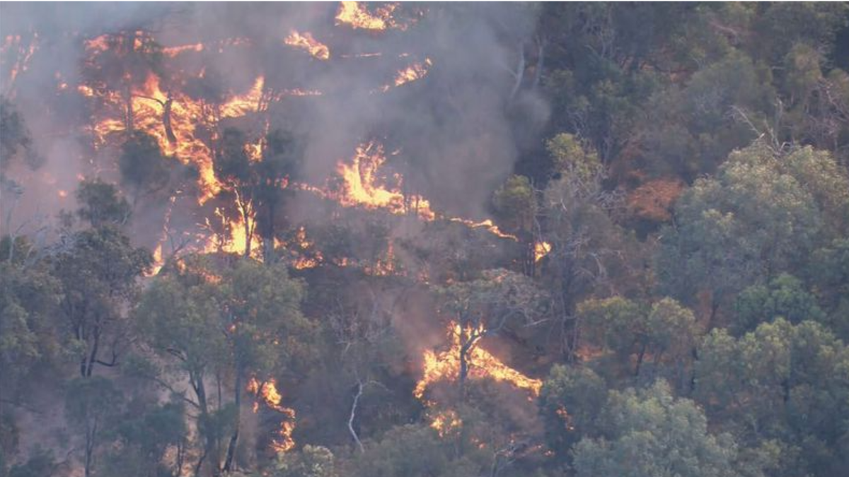 Western Australia news: Perth man faces court after allegedly lighting ...