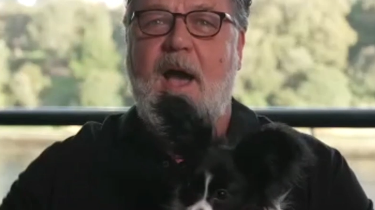 Russell Crowe's candid confession after puppy's tragic death | Nine.com.au