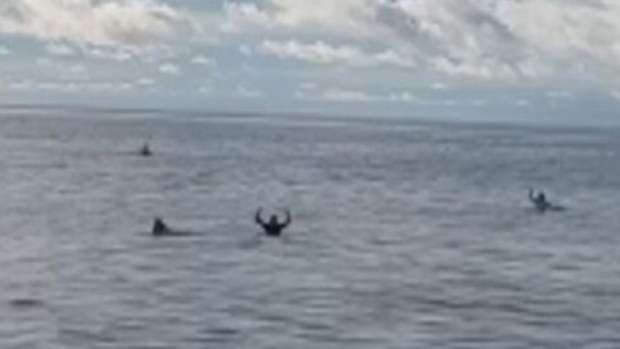Missing Aussie surfers Indonesia found alive floating on boards