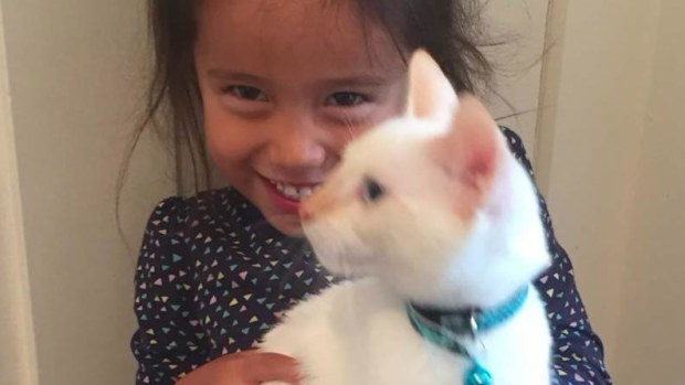 Bentley the cat with Andi 