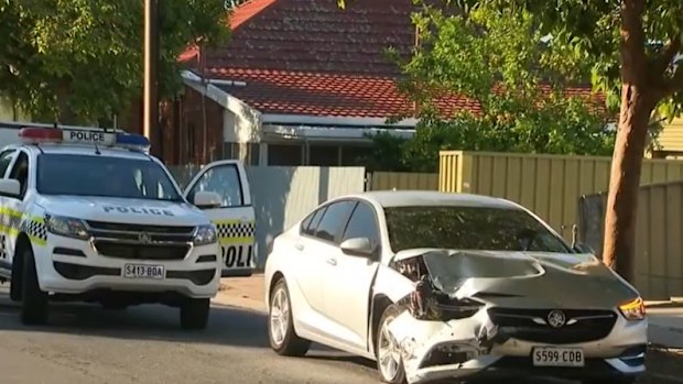 Wayville hit-run crash