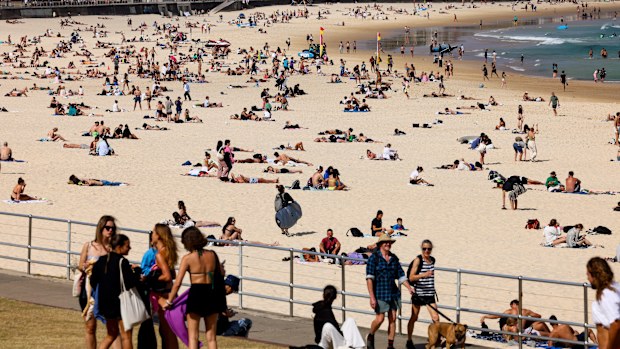 Cases of COVID-19 are rising in NSW with health bosses classing transmission rates as "moderate to high".