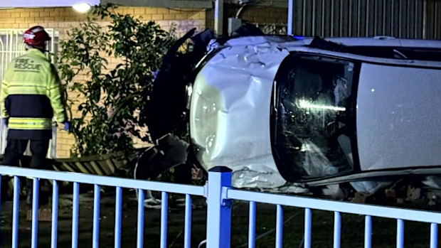 An out-of-control car has been caught on video smashing into a family home in Sydney, almost killing a pet cat and causing thousands of dollars of damage.