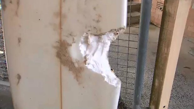 The damage to Sam Edwards' board.