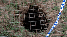 Oska Stockner was stuck in the sinkhole for 15 minutes before he was freed by a police constable. 