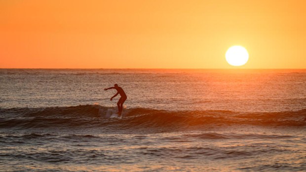 A person surfs on Bondi Beach on January 08, 2026 in Sydney, Australia.