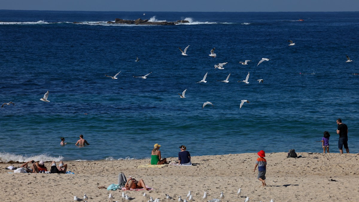 October long weekend 2025: Will I get a public holiday in October ...