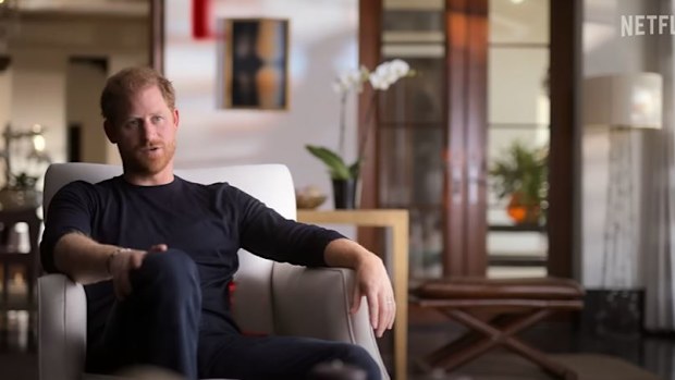 Still images from Prince Harry and Meghan Markle's Netflix documentary first trailer