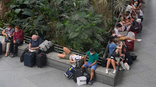 Passengers wait and relax in the botanical garden inside the Atocha rail station in Madrid, Spain, on Saturday, August 14, 2021. (AP Photo/Paul White)