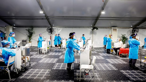 Health workers at the Histopath pre-departure COVID testing clinic at Sydney International airport.