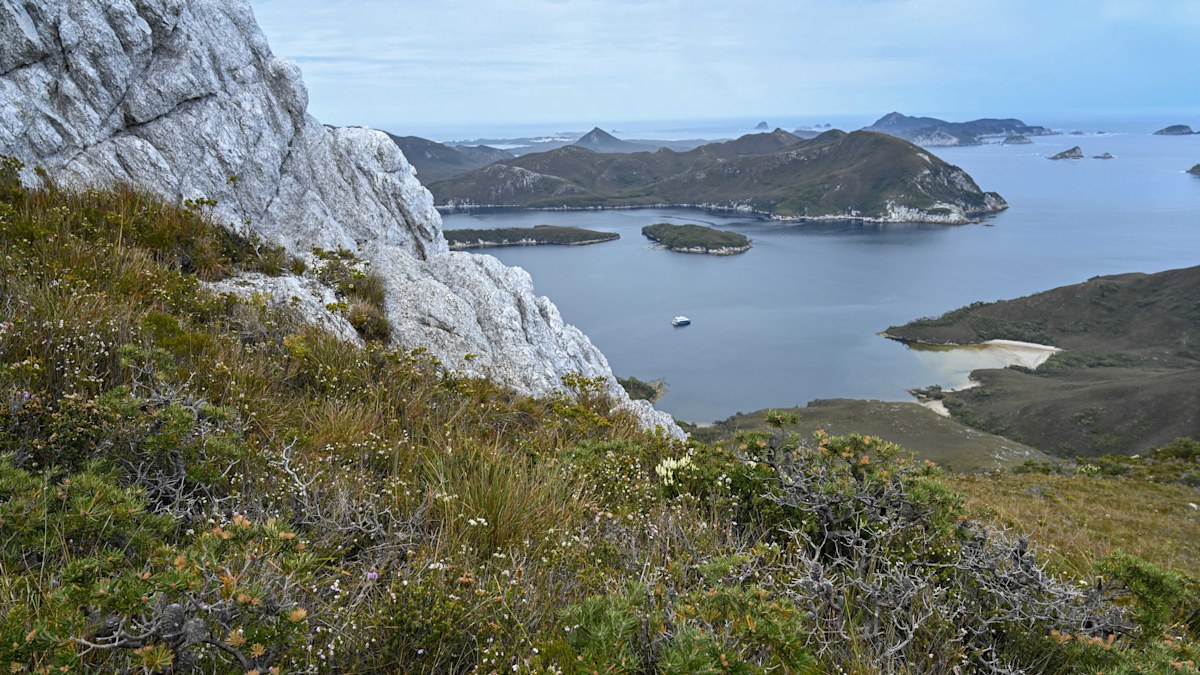 Victorian bushwalker dies after fall in Tasmanian national park | Nine ...