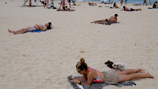 People sunbathe on Bindi Beach, Sydney