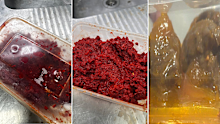 Queensland Health has issued an alert for people to be aware of two homemade, unlabelled products - a homemade capsicum and chilli paste and a homemade marinated eggplant containing a capsicum and chilli paste -  that may be circulating in Logan.