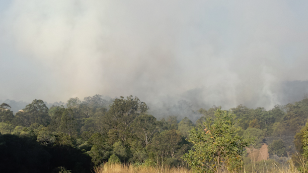 Smoke from a bushfire has engulfed a region near Cashmere, north of Brisbane.