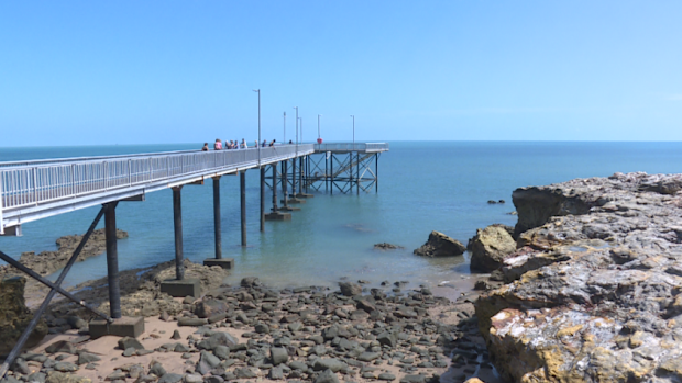 Jamie Hall was fishing off Nightcliff Jetty on Saturday afternoon, when one of his friends hooked onto something.