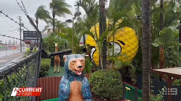 Ex- tropical cyclone Alfred leaves a trail of destruction in its wake
