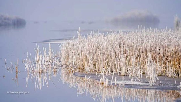 The second coldest temperature ever recorded in Australia was at Liawenee in 2020.