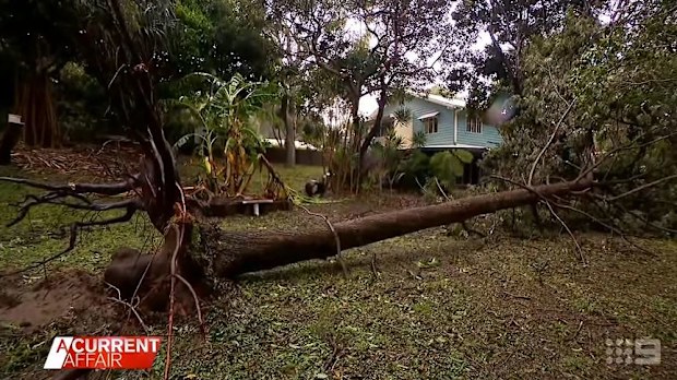Ex- tropical cyclone Alfred leaves a trail of destruction in its wake