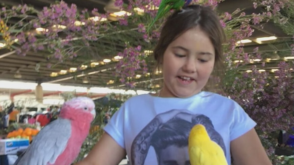 Perth news: Girl fighting for life after being hit by car | Nine.com.au