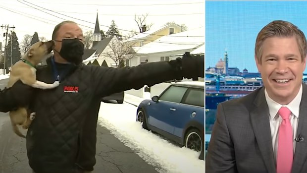 Puppy interrupts fox news broadcast