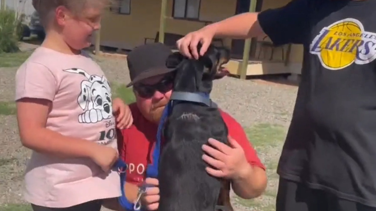 Dog owner reunited with pet after two years | Nine.com.au