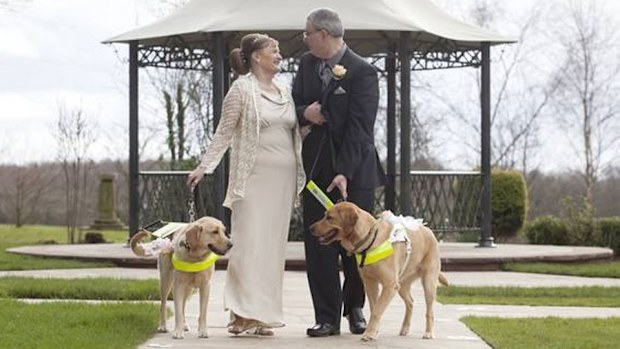 Claire Johnson and Mark Gaffey marry with their dogs Venice and Rodd (Guide Dogs for the Blind Association)