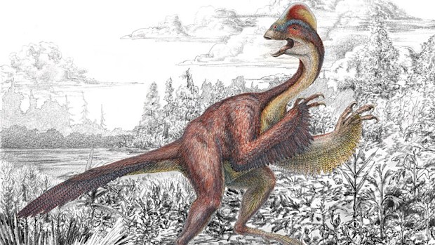 Anzu wyliei – a bird-like dinosaur nicknamed the “chicken from hell” (Mark Klingler, Carnegie Museum of Natural History)
